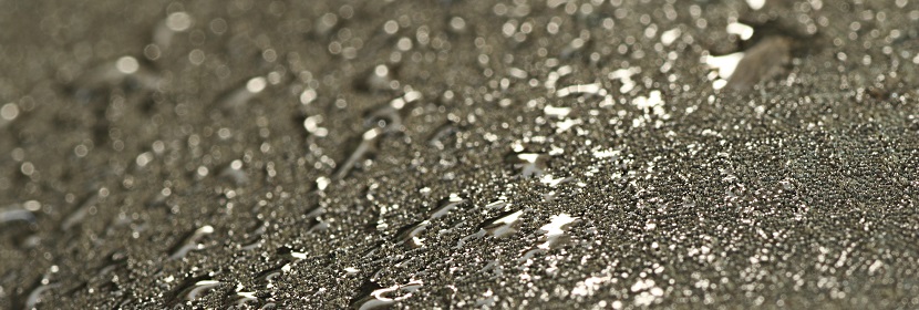 食品中煙酰胺檢測(cè)