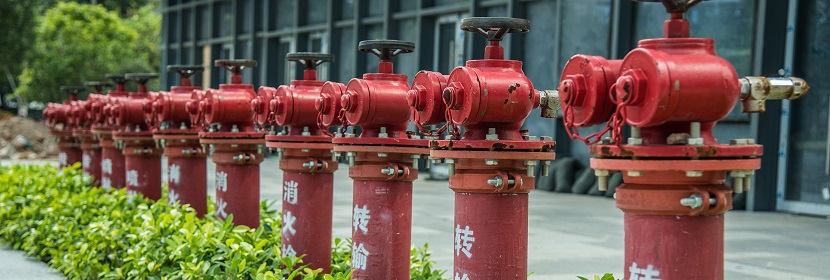 于化妝品功效評價的皮膚細胞類型介紹?《化妝品功效宣稱評價指導(dǎo)原則》起草說明