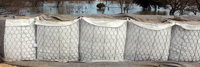 AVC 稱線上消毒機零售額增幅達 92.7%，零售量增幅達 90.6%，這反映了什么問題 ?紫外線殺菌燈測評丨殺菌效果實測，殺滅率99.9%到底是不是噱頭 