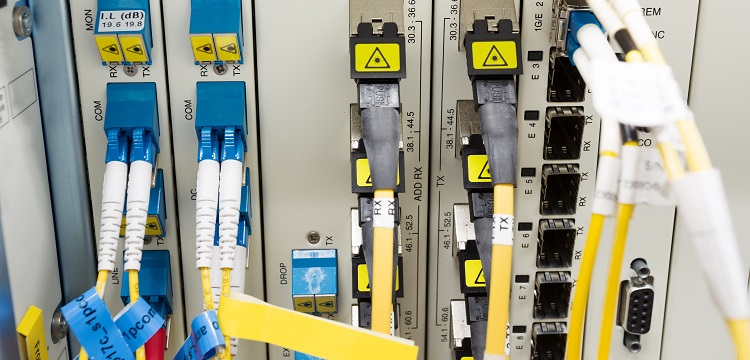 深圳大學公衛考研公共衛生考研報考要求?美國政府問責局報告稱「 美公共衛生部門疫情應對存在『 持續缺陷 』」，該缺陷是什么  健明迪檢測