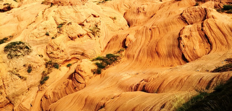 殺蟲劑第三方檢測機構：殺蟲劑檢測有哪些項目 