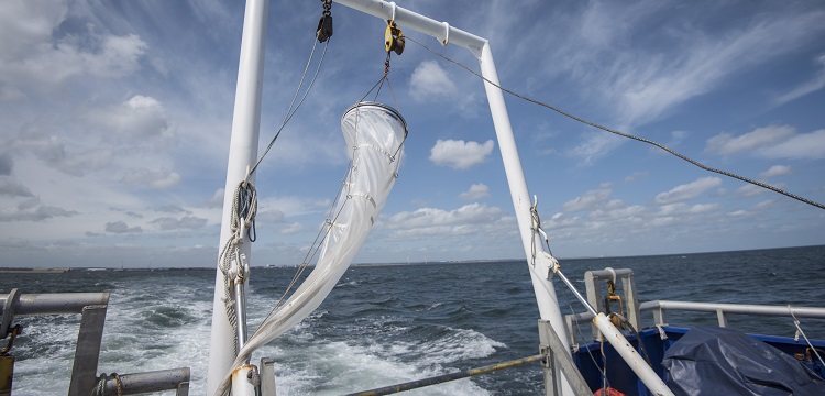 食品接觸材料檢測項目大匯總！