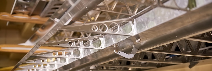 D173L轉基因原發(fā)性高血壓小鼠模型