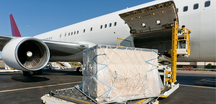 TBX6相關(guān)先天性脊柱側(cè)凸小鼠模型