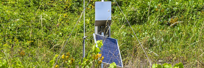 布制玩具檢測(cè)