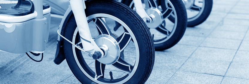 L-谷氨酸鈉誘導(dǎo)肥胖胰島素抵抗小鼠