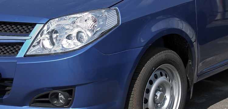 人腦膠質瘤異種移植小鼠模型