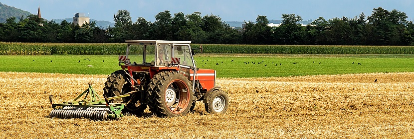 拋光酶檢測(cè)