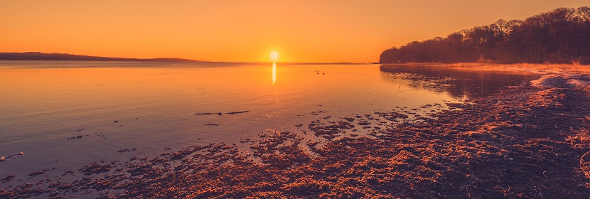 動物實驗室中心