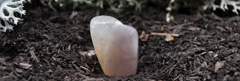 工業氟化鎳檢測